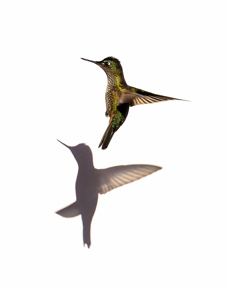 Photograph by Antonio Avila