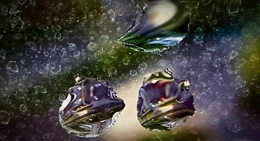 Фотография автора Rasa Zdaniene