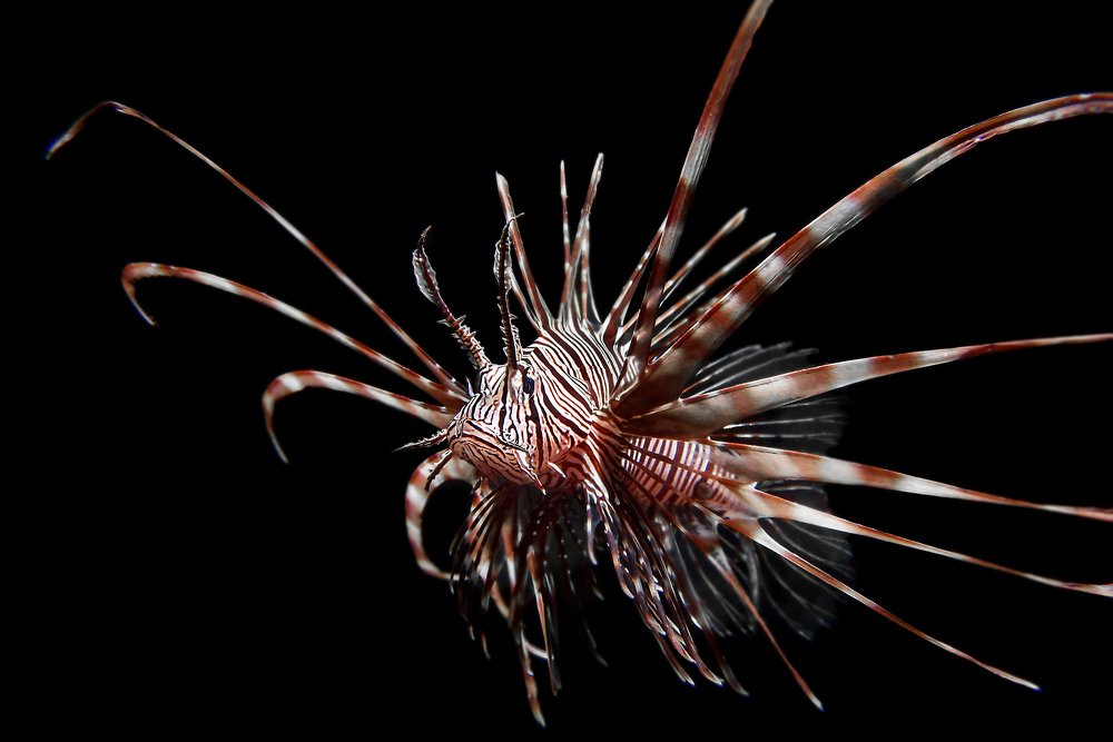 Photograph by Альт Эдуард