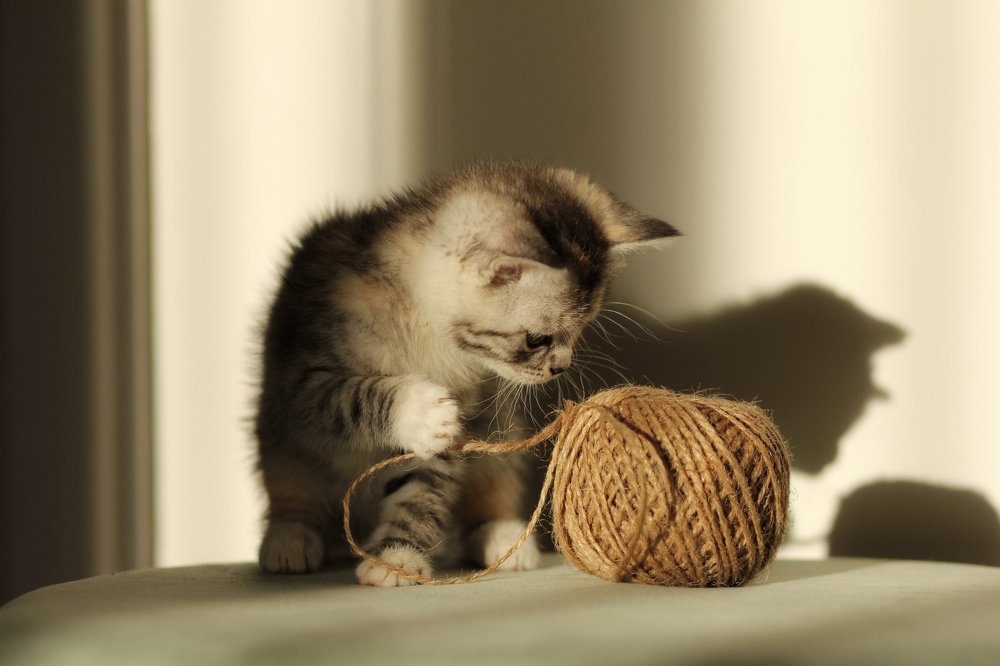 Photograph by Виктория Суркова