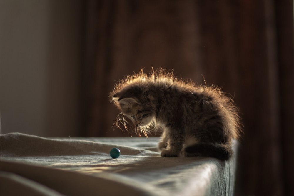 Photograph by Виктория Суркова