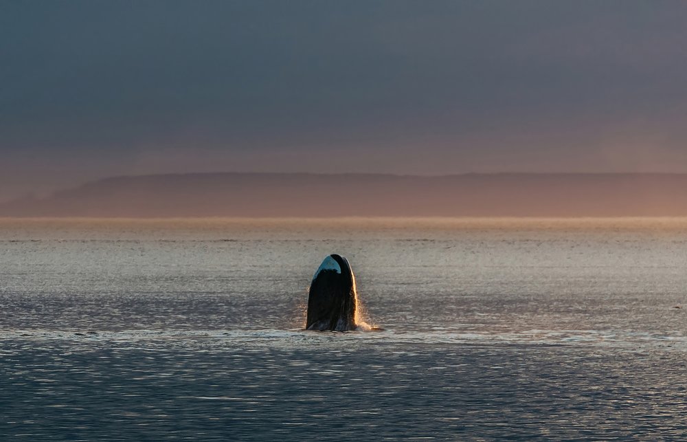 Фотография автора Евгения Кирпиченкова (Клипп)