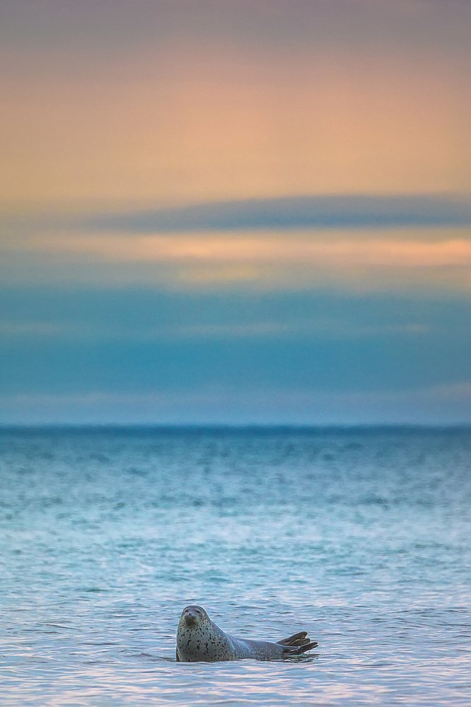 Фотография автора Евгения Кирпиченкова (Клипп)