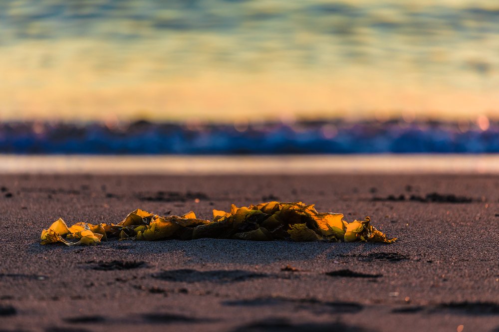 Фотография автора Евгения Кирпиченкова (Клипп)