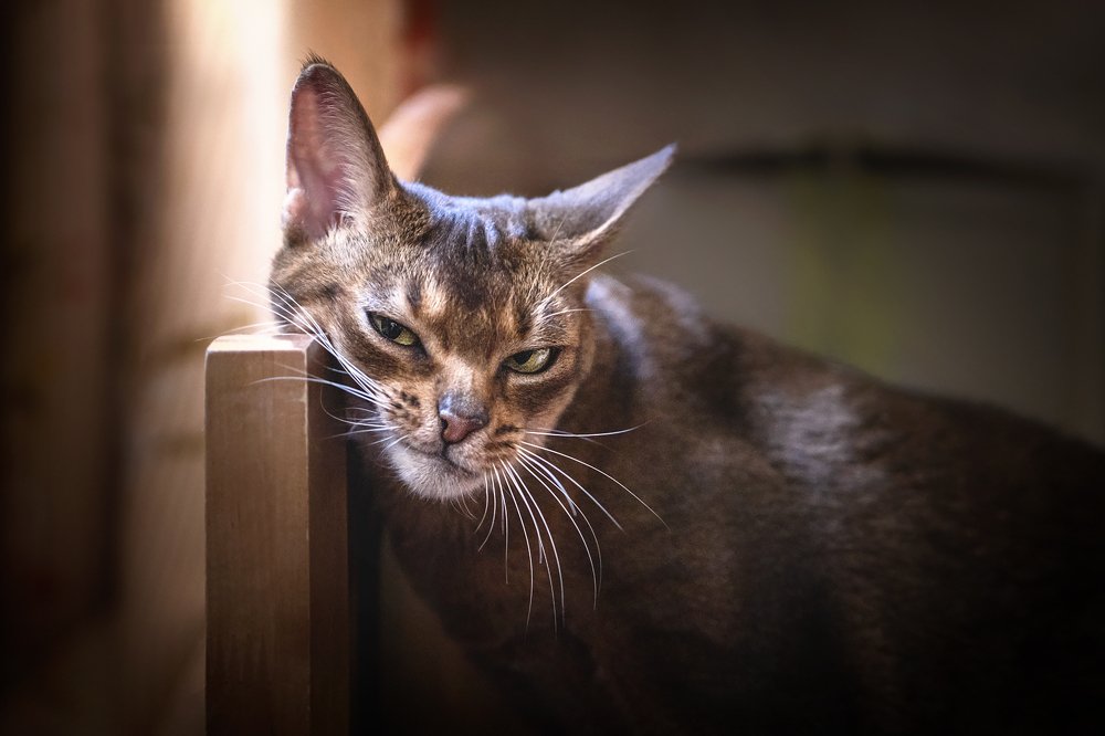 Photograph by Ирина Леонова