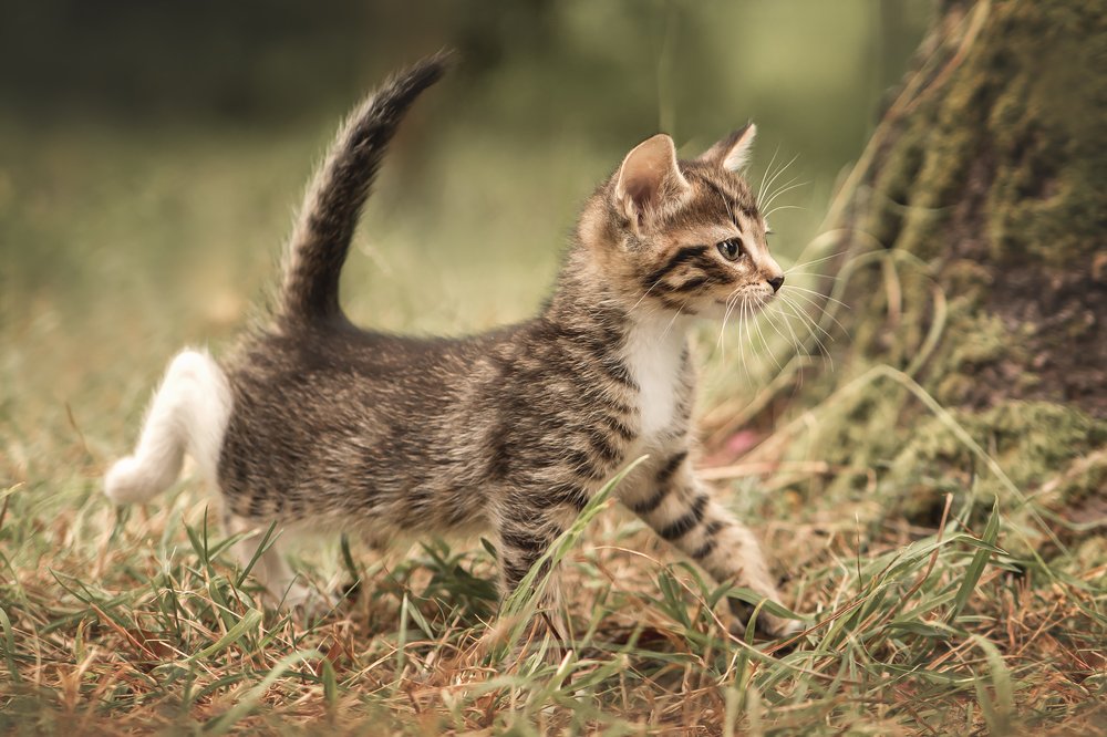 Photograph by Ирина Леонова