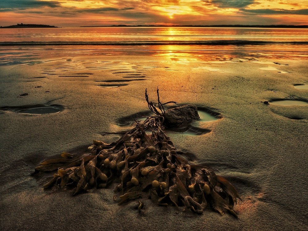 Photograph by Евгений Яковлев