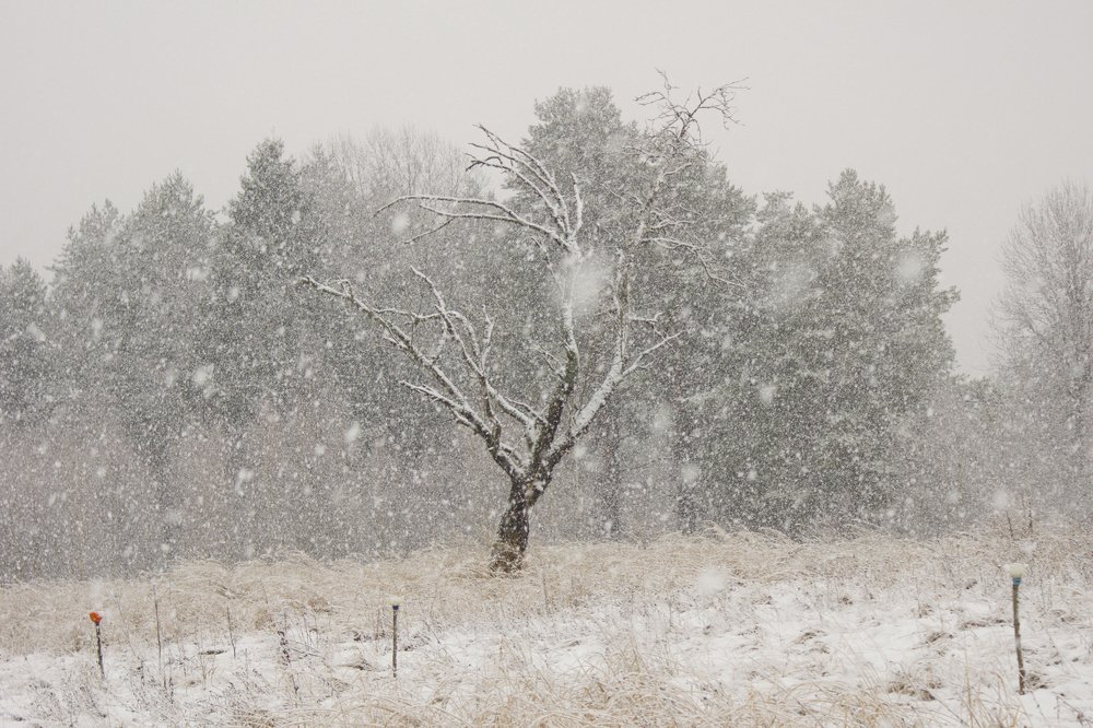 Photograph by Артём Зотин