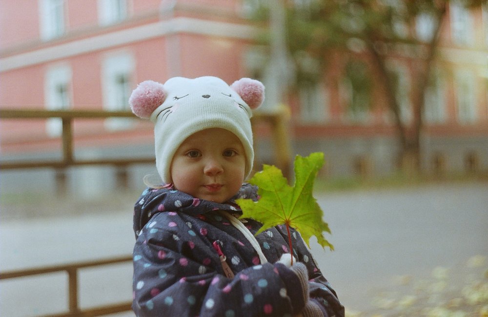 Photo #4971603