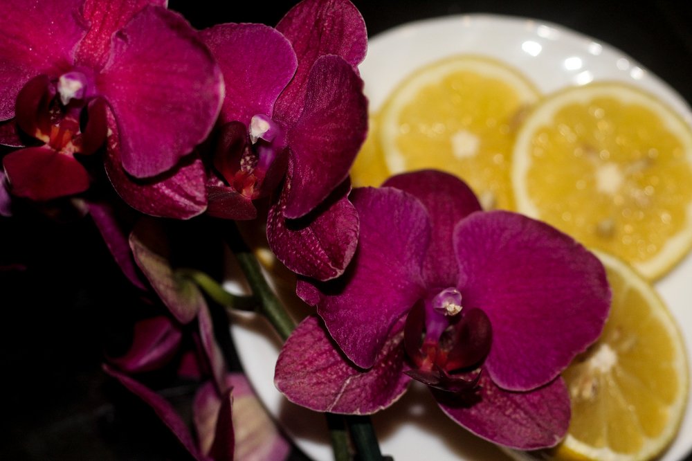 Photograph by Elena Khalizova