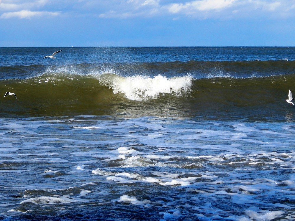 Морюшко-море