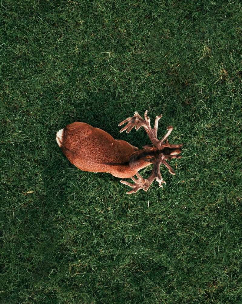 Фотография автора Pavel Reshetov