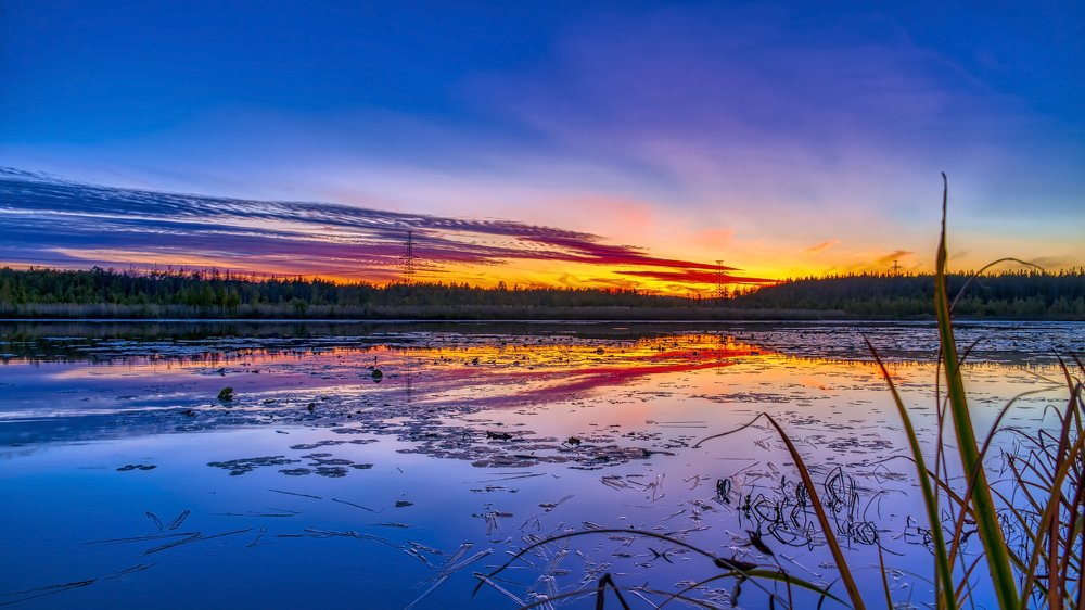 Photograph by Сергей Малеев