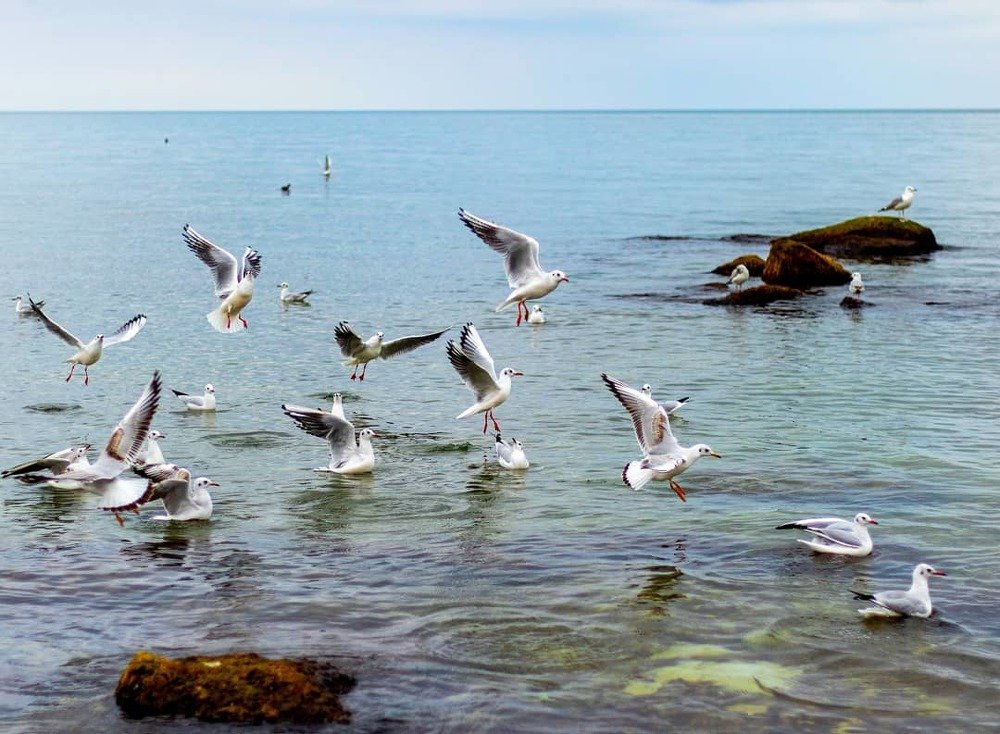 Photograph by Инна Федорова