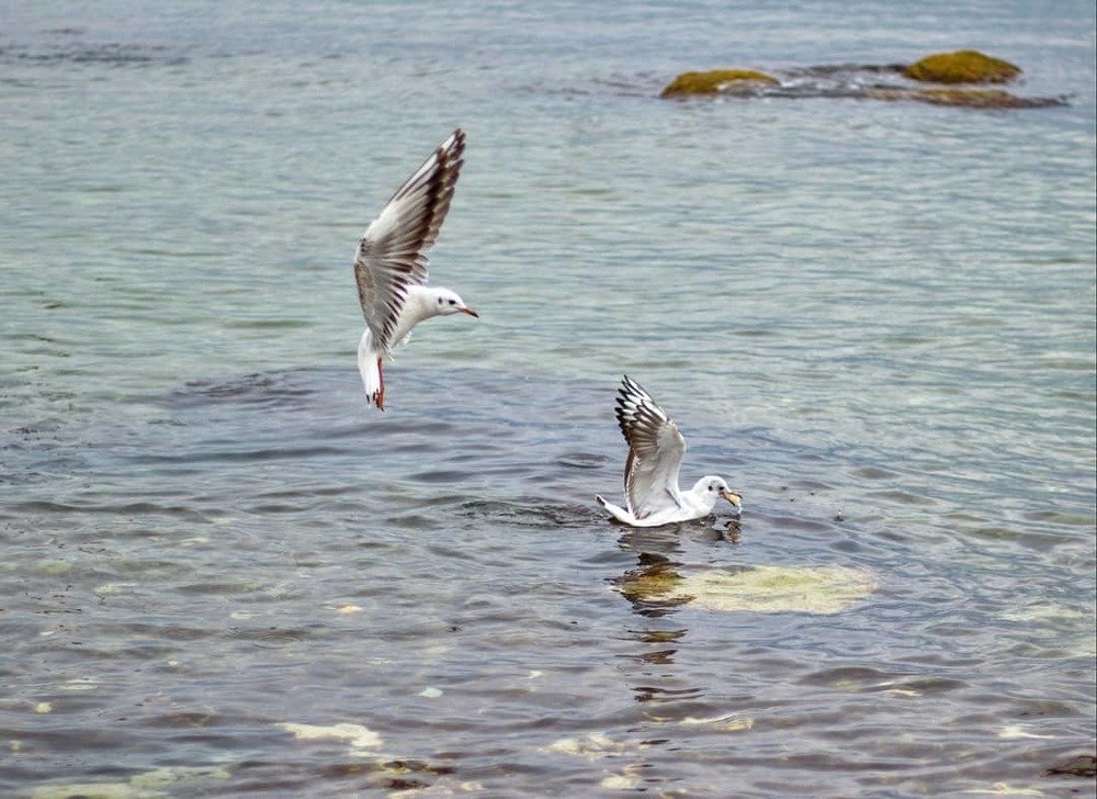 Photograph by Инна Федорова