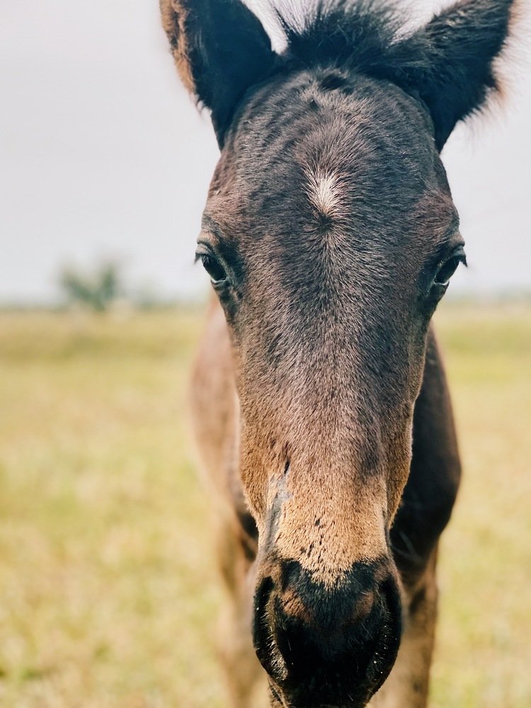 Photograph by Ольга Петухова
