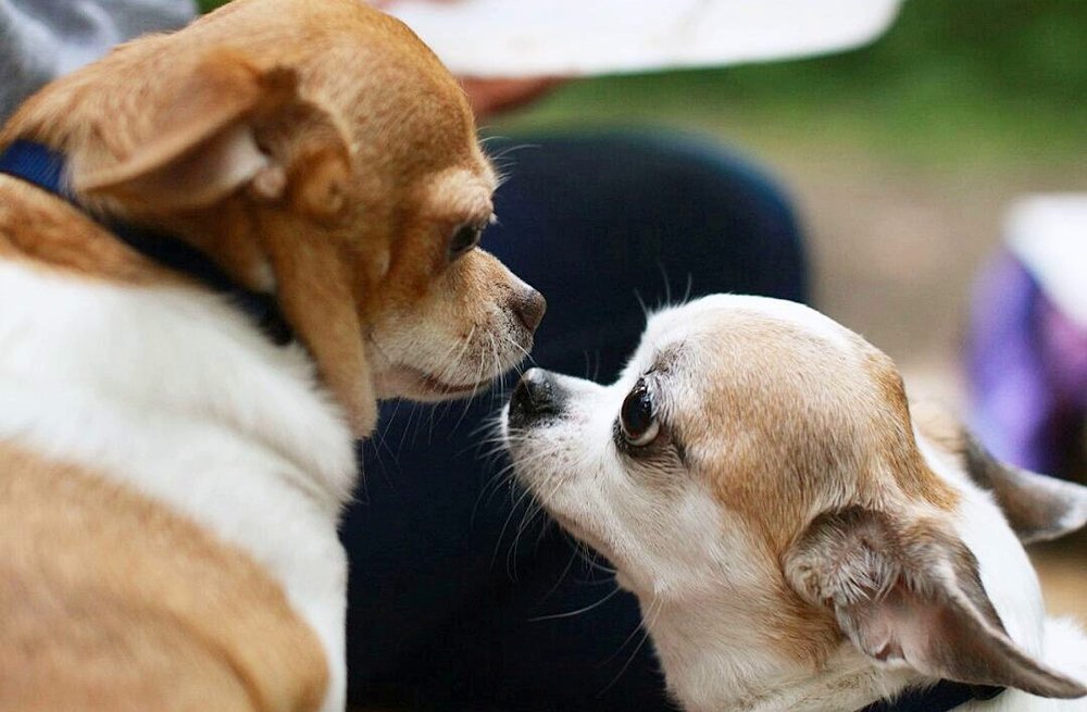 Photograph by Анна Хазова