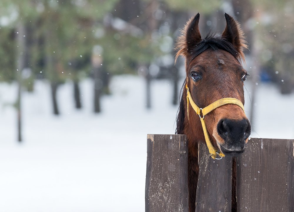 Photograph by Владислав Никишин