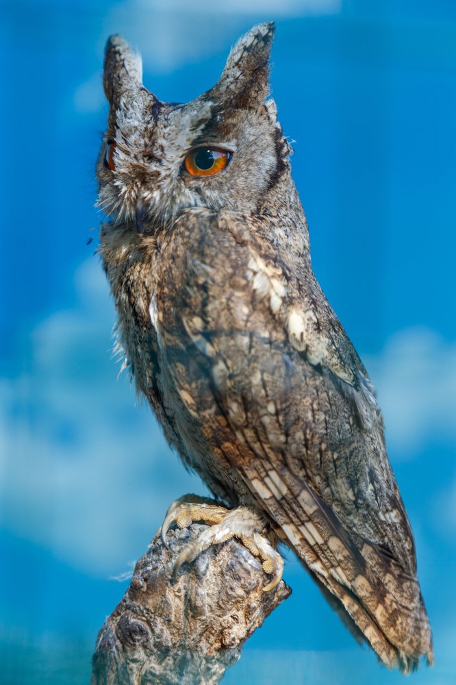 Photograph by Veronika Trubnikova