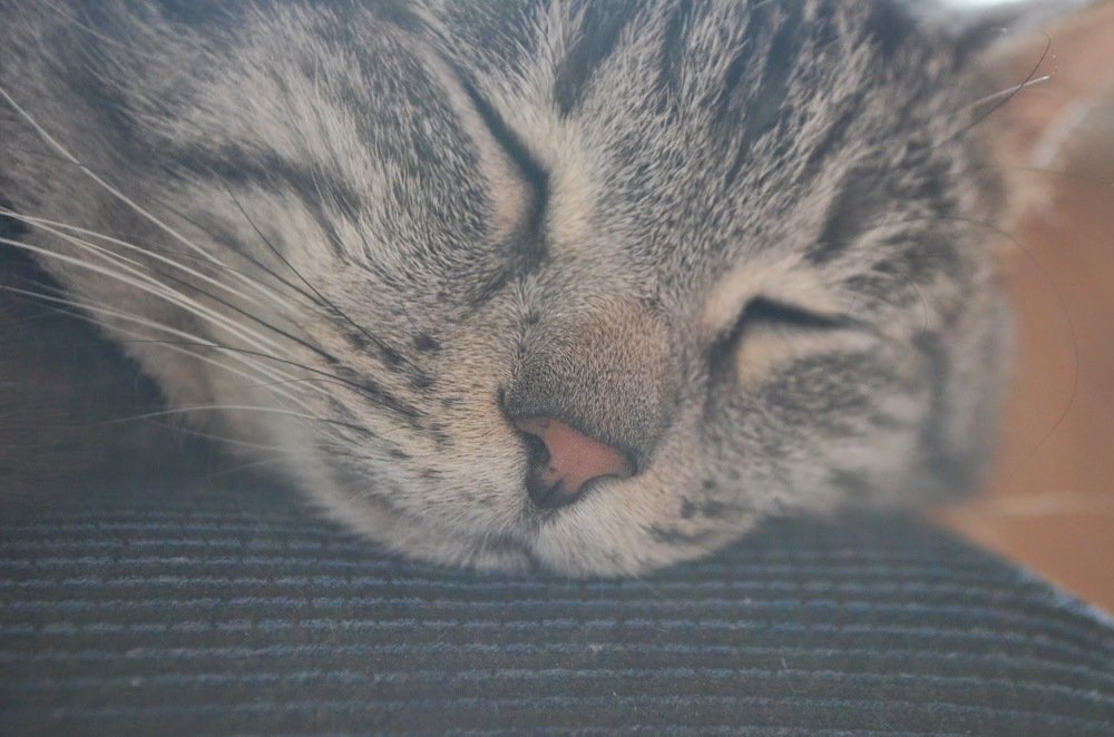 Photograph by Екатерина Вострякова