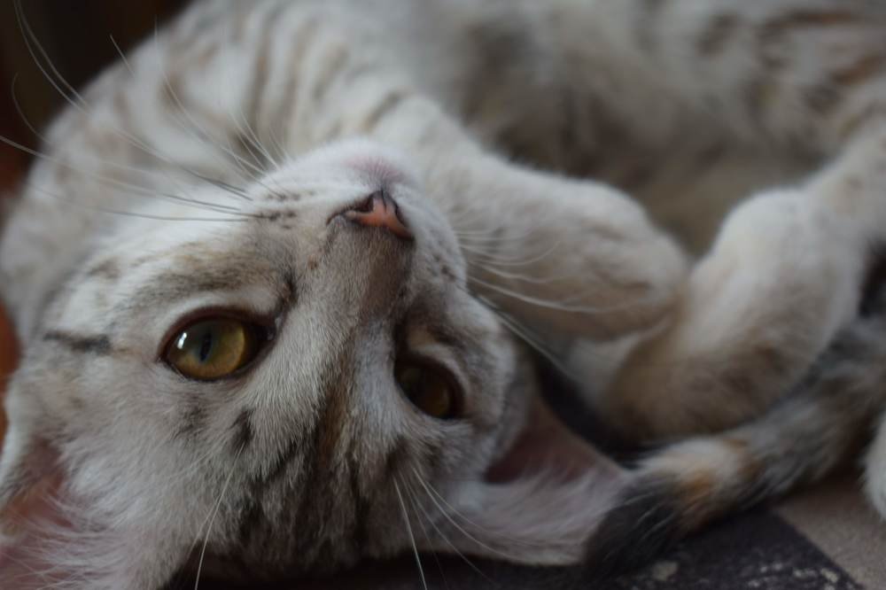 Photograph by Екатерина Вострякова