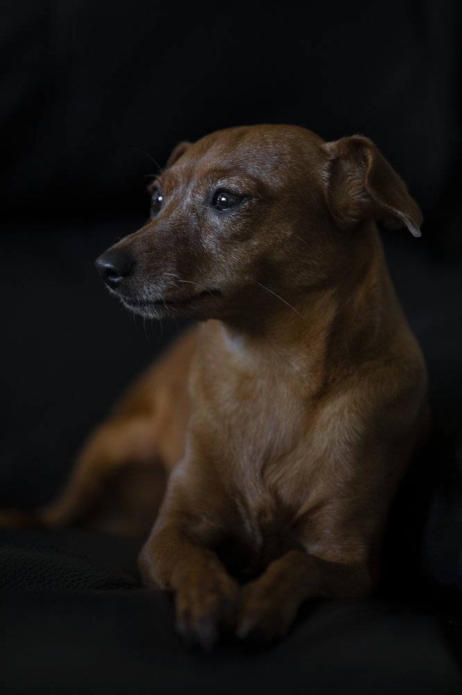 Photograph by Idit Profeta Ron