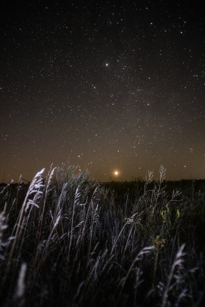 Photograph by Александр Прибылов