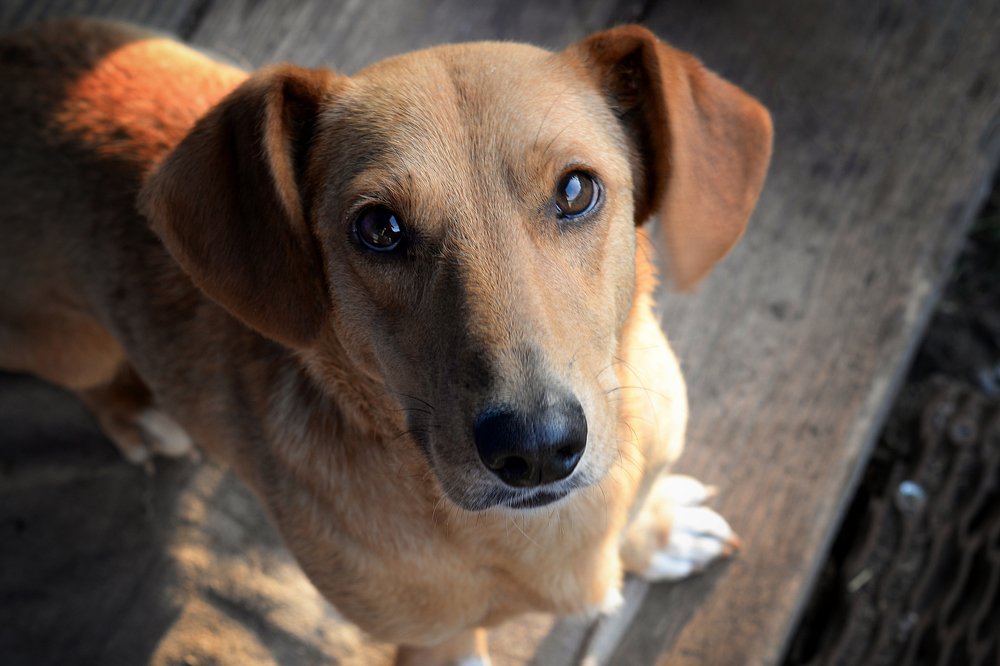 Photograph by Роман Павлов