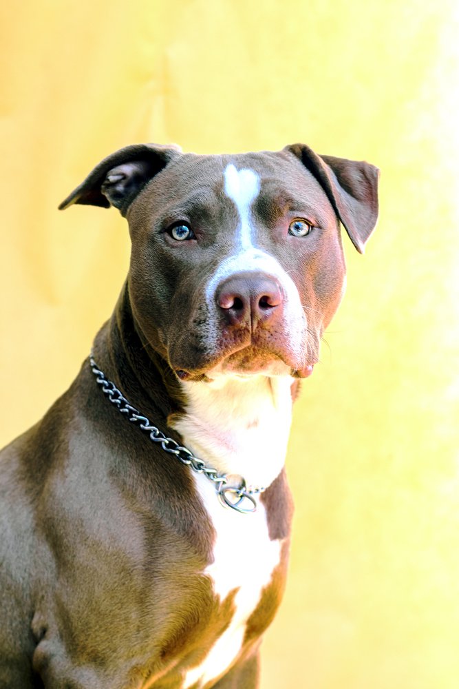 Photograph by Milana Model