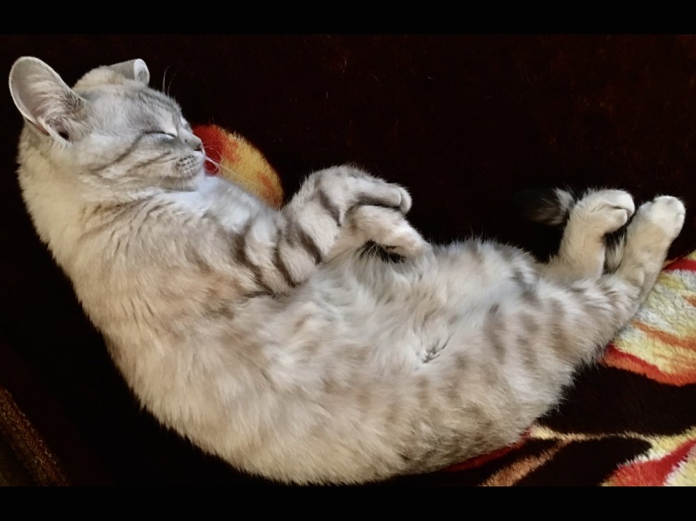 Photograph by Елена Ким