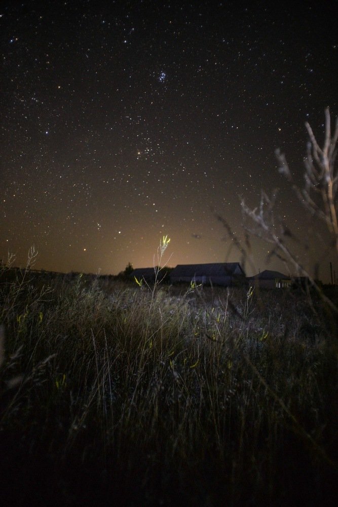 Звездная пыль