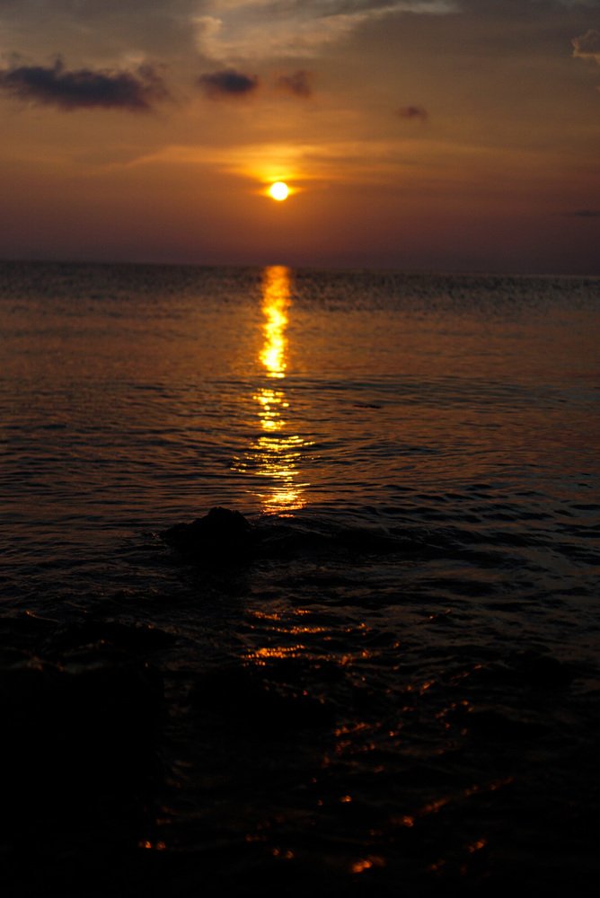 Photograph by Ксения Леонова
