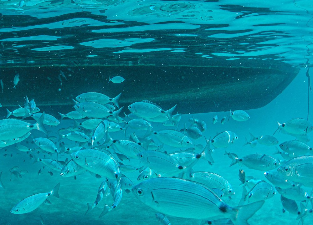 Photograph by Ксения Леонова