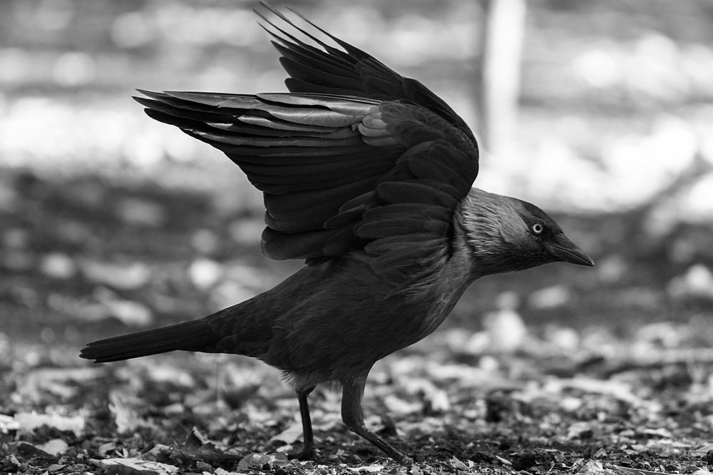 Photograph by Валерия Зайцева