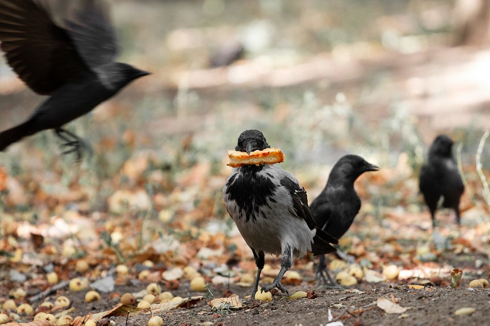 Photograph by Валерия Зайцева