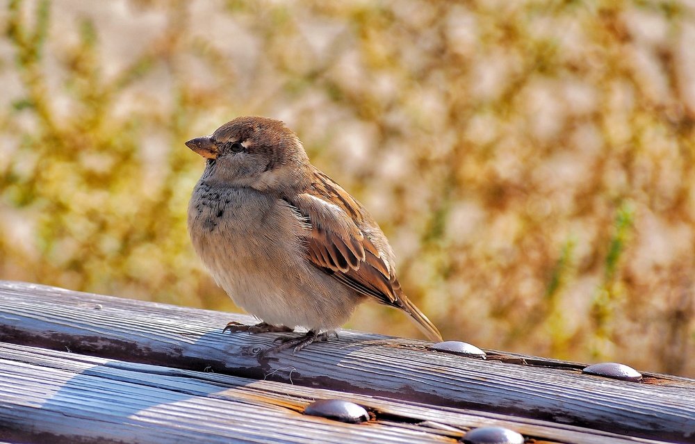 Photograph by Yana Marinova