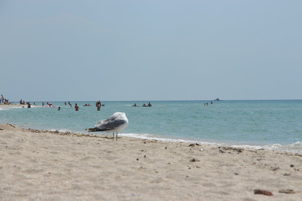 Photograph by Valeriy Bogushev