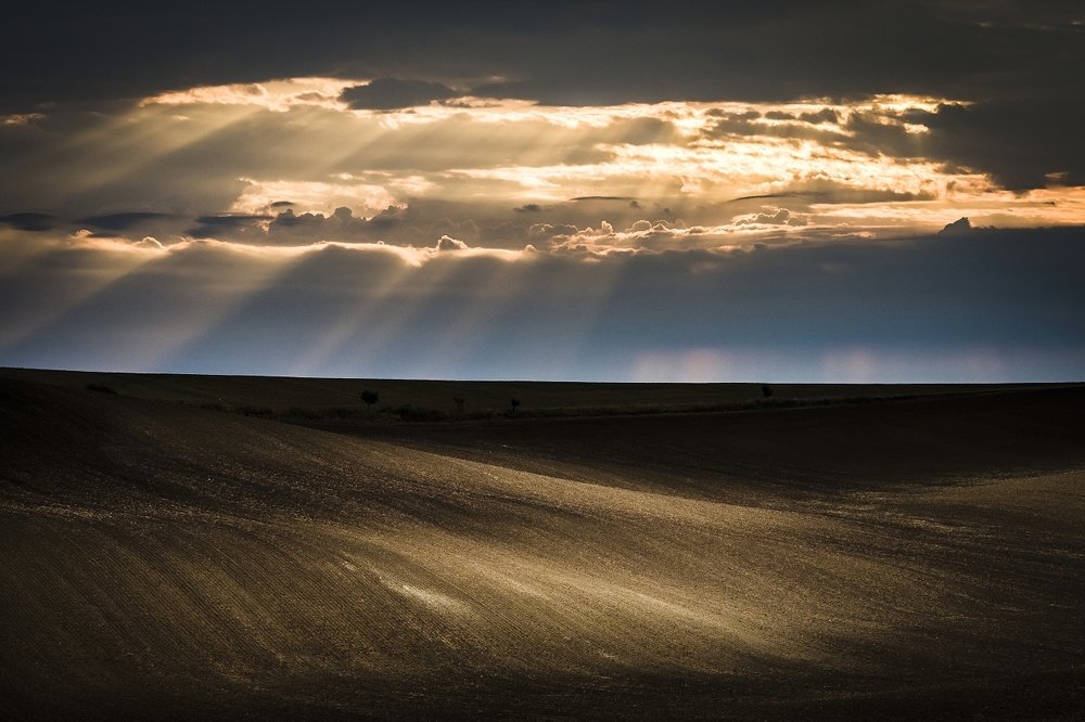 Photograph by Mario Sikora
