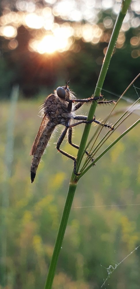 Photograph by Екатерина