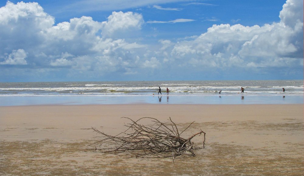 Photograph by Pabitra Sanyal