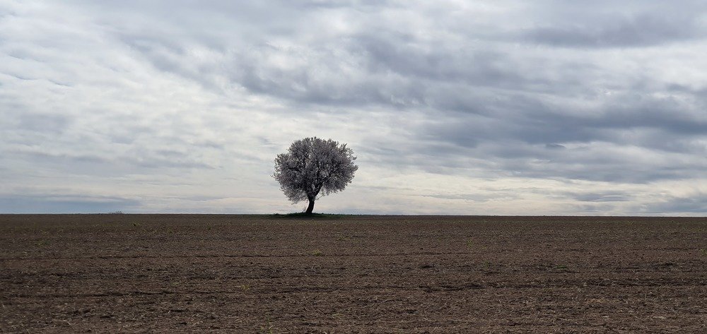 Photograph by Miguel Angel Salvatierra Remesal