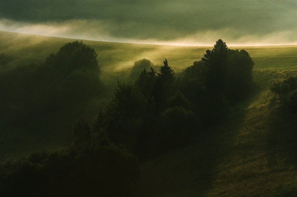 Photograph by Mario Sikora