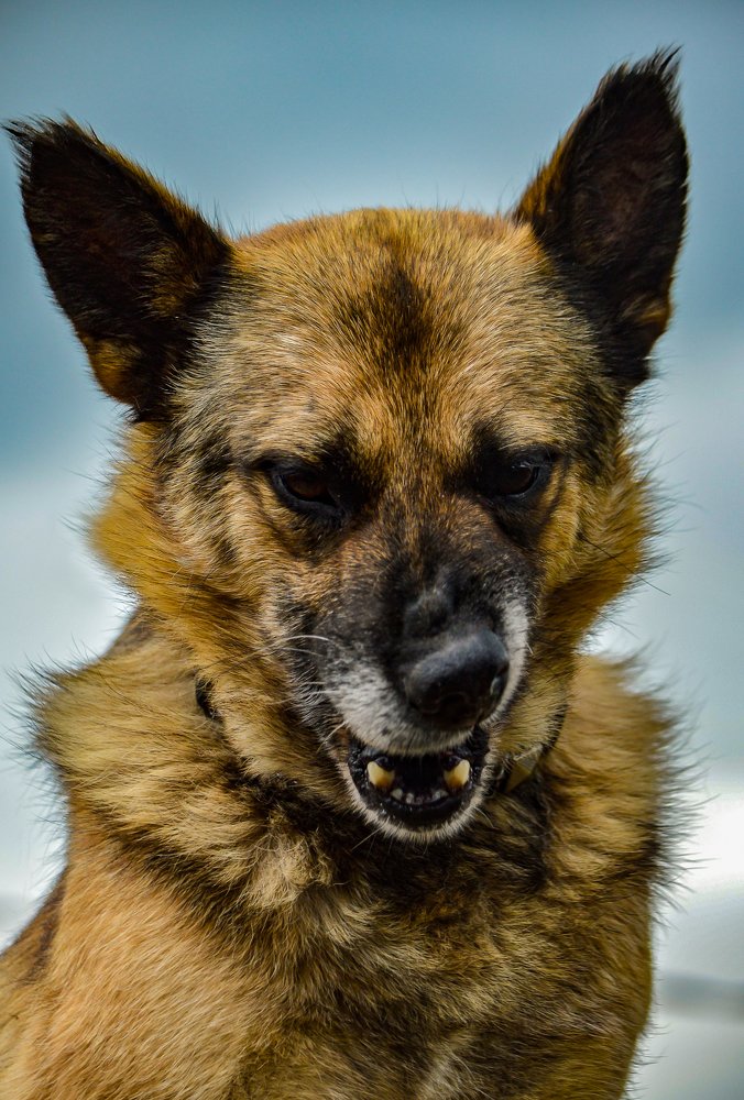 Photograph by Nadezhda Rav