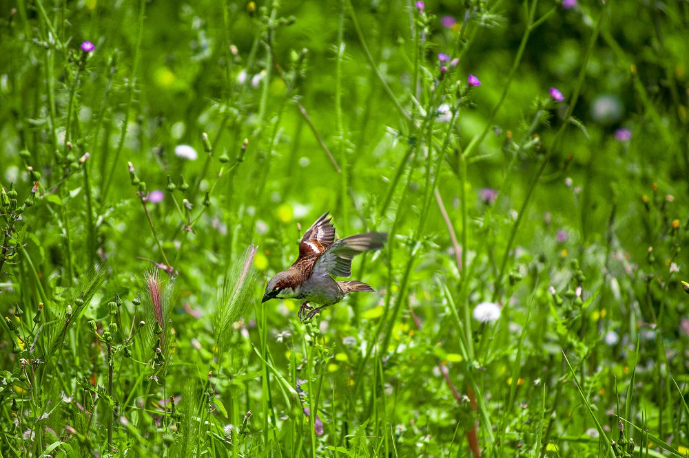 Photograph by Cemal Kaldirim