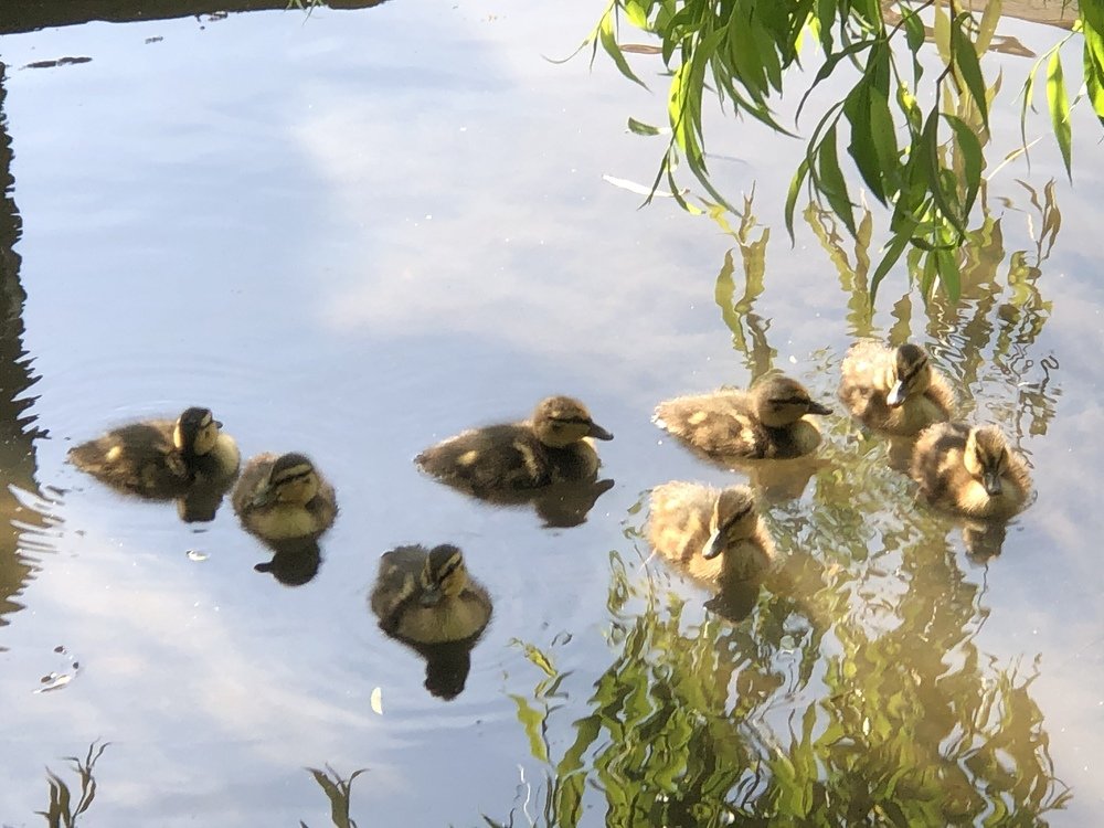 Photograph by Rachael Hudson