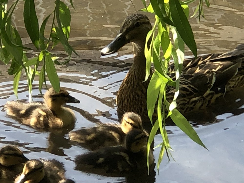 Photograph by Rachael Hudson