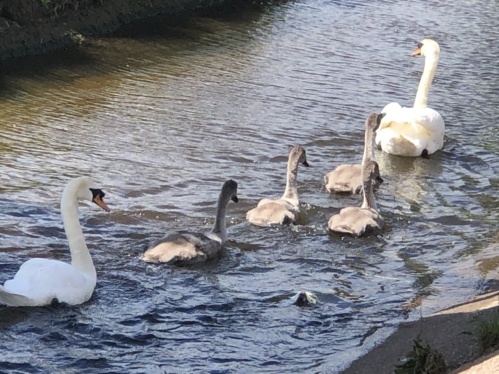 Photograph by Rachael Hudson