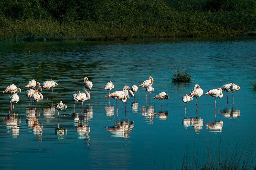 Photograph by Cemal Kaldirim