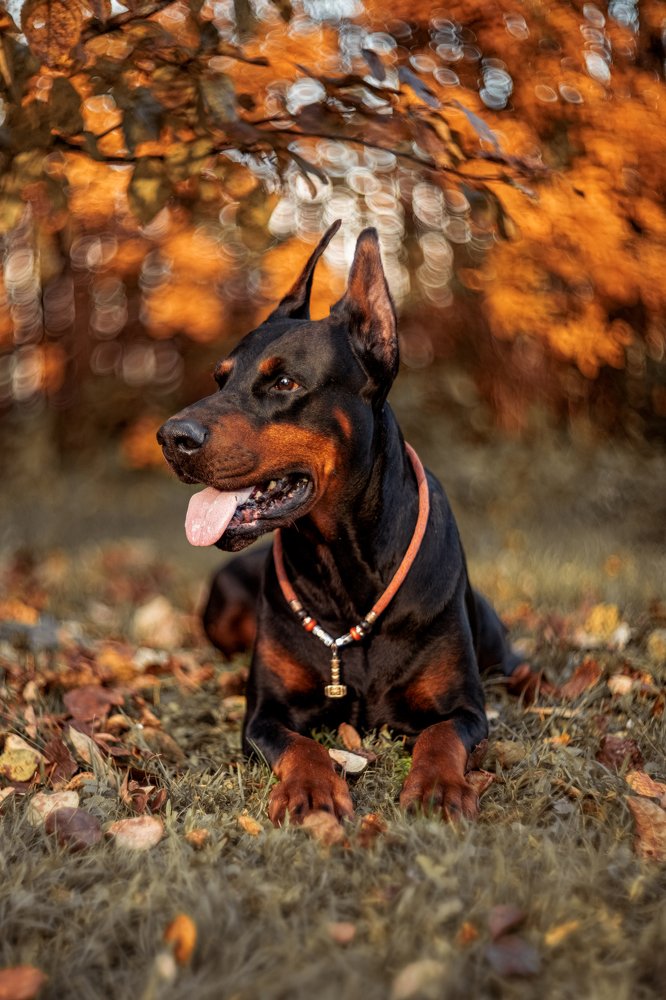 Photograph by Анастасия Третьякова