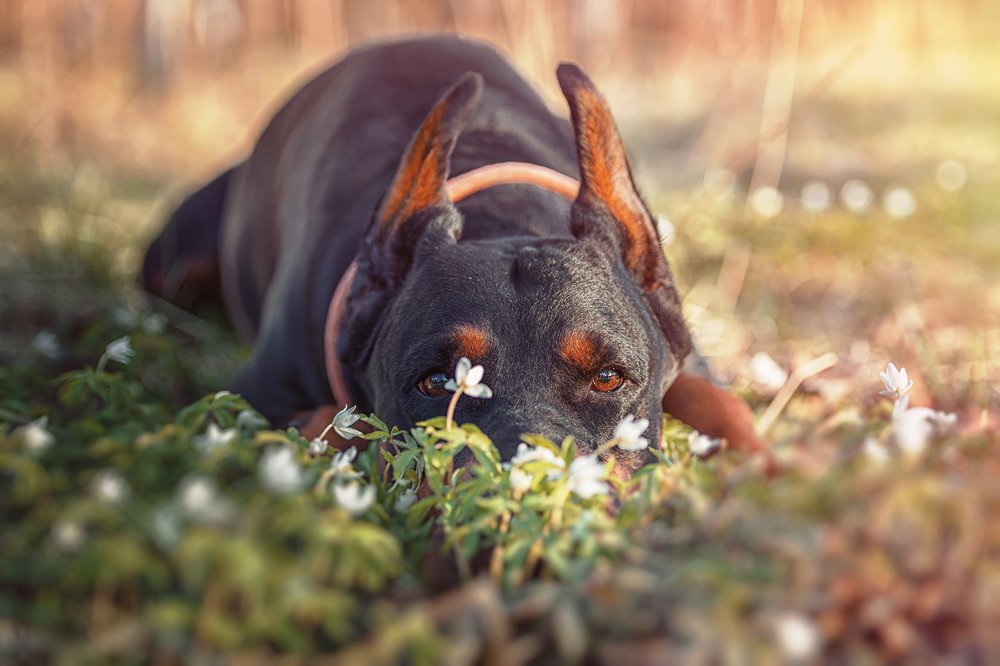Photograph by Анастасия Третьякова